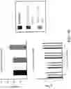 Fig. 22 - BROWN FAT CELLS AND METHOD FOR PREPARING SAME