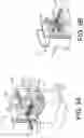 Fig. 08 - System and method for extraction and cryopreservation of bone marrow