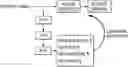 Fig. 01 - SELF REPLICATING RNA FOR INDUCING SOMATIC DIFFERENTIATION OF UNMODIFIED ADULT STEM CELLS