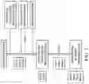 Fig. 03 - SELF REPLICATING RNA FOR INDUCING SOMATIC DIFFERENTIATION OF UNMODIFIED ADULT STEM CELLS