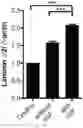 Fig. 02 - Materials and methods for generating therapeutic mesenchymal stem cells