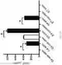Fig. 09 - Materials and methods for generating therapeutic mesenchymal stem cells