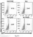 Fig. 09 - Microenvironments for self-assembly of islet organoids from stem cells differentiation