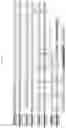 Fig. 18 - DNase therapy for intravascular accumulation of extracellular DNA