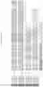 Fig. 32 - DNase therapy for intravascular accumulation of extracellular DNA