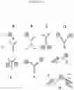 Fig. 02 - Methods and compositions for therapeutic protein delivery