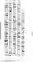 Fig. 06 - Method for reducing immunogenicity of RNA