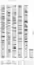 Fig. 08 - Method for reducing immunogenicity of RNA