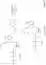 Fig. 09 - Oligonucleotide-tethered nucleotides