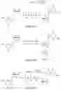 Fig. 40 - Oligonucleotide-tethered nucleotides