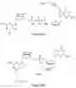 Fig. 41 - Oligonucleotide-tethered nucleotides