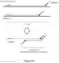 Fig. 47 - Oligonucleotide-tethered nucleotides