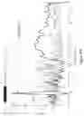 Fig. 48 - Oligonucleotide-tethered nucleotides