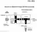 Fig. 47 - Compositions and methods for molecular labeling