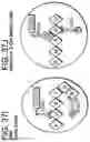 Fig. 75 - Compositions and methods for molecular labeling
