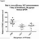 Fig. 04 - ANTISENSE OLIGONUCLEOTIDES FOR MODULATING HTRA1 EXPRESSION