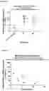 Fig. 09 - ANTISENSE OLIGONUCLEOTIDES FOR MODULATING HTRA1 EXPRESSION