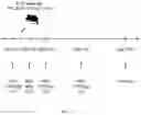 Fig. 02 - METHODS AND COMPOSITIONS FOR TREATING AND PREVENTING METASTATIC TUMORS