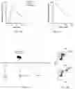 Fig. 04 - METHODS AND COMPOSITIONS FOR TREATING AND PREVENTING METASTATIC TUMORS