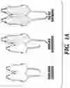 Fig. 02 - Method of reducing the effects of aging-associated impairment of neurogenesis comprising modulating c-c chemokine receptor type 3 (CCR3)
