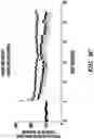 Fig. 05 - Method of reducing the effects of aging-associated impairment of neurogenesis comprising modulating c-c chemokine receptor type 3 (CCR3)