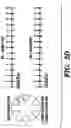 Fig. 06 - Method of reducing the effects of aging-associated impairment of neurogenesis comprising modulating c-c chemokine receptor type 3 (CCR3)