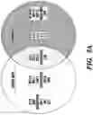 Fig. 08 - Method of reducing the effects of aging-associated impairment of neurogenesis comprising modulating c-c chemokine receptor type 3 (CCR3)