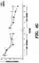 Fig. 13 - Method of reducing the effects of aging-associated impairment of neurogenesis comprising modulating c-c chemokine receptor type 3 (CCR3)