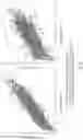 Fig. 03 - CONSTRUCTS AND CELLS FOR ENHANCED PROTEIN EXPRESSION