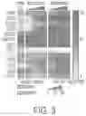Fig. 04 - CONSTRUCTS AND CELLS FOR ENHANCED PROTEIN EXPRESSION