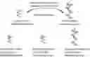 Fig. 01 - GENOME EDITING BY POLLEN-MEDIATED TRANSFORMATION