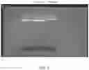 Fig. 08 - GENOME EDITING BY POLLEN-MEDIATED TRANSFORMATION