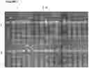 Fig. 03 - Plants having increased tolerance to herbicides