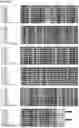 Fig. 05 - Insecticidal protein discovery platform and insecticidal proteins discovered therefrom
