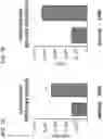 Fig. 08 - OPTIMIZED LENTIVIRAL TRANSFER VECTORS AND USES THEREOF