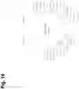 Fig. 20 - OPTIMIZED LENTIVIRAL TRANSFER VECTORS AND USES THEREOF