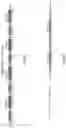 Fig. 02 - MATERIALS AND METHODS FOR PREVENTING TRANSMISSION OF A PARTICULAR CHROMOSOME
