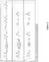 Fig. 03 - Method for preparation of diester derivatives of malonic acid