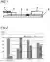 Fig. 02 - IMMUNOCHROMATOGRAPHIC ANALYSIS DEVICE FOR CHIKUNGUNYA VIRUS DETECTION