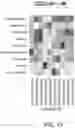 Fig. 14 - Assessing and treating functional gastrointestinal disorders