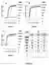 Fig. 07 - Methods and kits for using recombinant microorganisms as direct reagents in biological applications