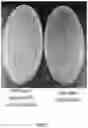 Fig. 14 - Methods and kits for using recombinant microorganisms as direct reagents in biological applications