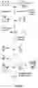 Fig. 19 - Methods and kits for using recombinant microorganisms as direct reagents in biological applications