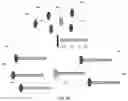 Fig. 05 - Composition and Methods For Affinity Directed Enrichment of Rare Species