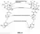 Fig. 11 - Composition and Methods For Affinity Directed Enrichment of Rare Species