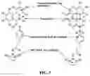 Fig. 12 - Composition and Methods For Affinity Directed Enrichment of Rare Species