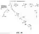 Fig. 15 - Composition and Methods For Affinity Directed Enrichment of Rare Species