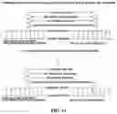 Fig. 16 - Composition and Methods For Affinity Directed Enrichment of Rare Species
