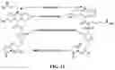 Fig. 17 - Composition and Methods For Affinity Directed Enrichment of Rare Species
