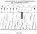 Fig. 24 - Composition and Methods For Affinity Directed Enrichment of Rare Species